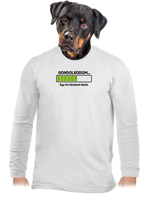 Gondolkodom férfi hosszú ujjú póló White