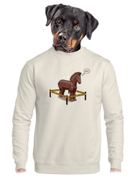 unisex crewneck