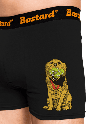 Arany retriever boxeralsó Black