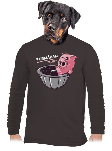Formában férfi hosszú ujjú póló Bear Brown