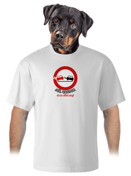 Ne előzz meg unisex túlméretezett póló White