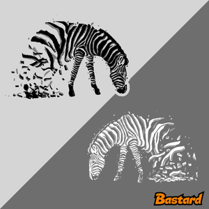 Zebra szerelem