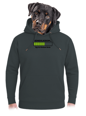 Gondolkodom unisex prémium pulóver Charcoal