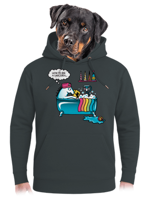 Mi kell az egyszarvúvá váláshoz unisex prémium pulóver Charcoal