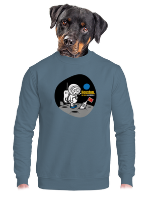  unisex crewneck Nordic Blue