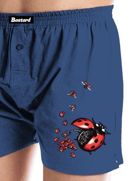 Ladybird Factory férfi alsó nadrág Blue