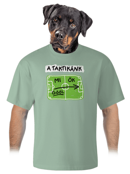 A futballtaktikánk unisex túlméretezett póló Sage