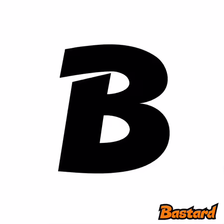 Bastard fashion: Icon