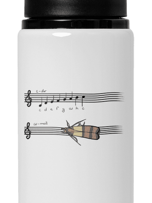 A - moll kulacs White