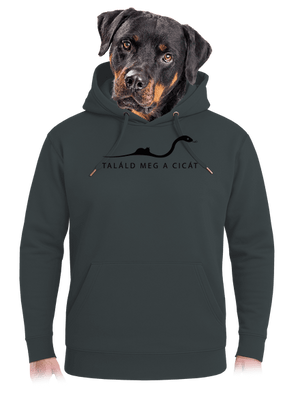 Találd meg a cicát unisex prémium pulóver Charcoal